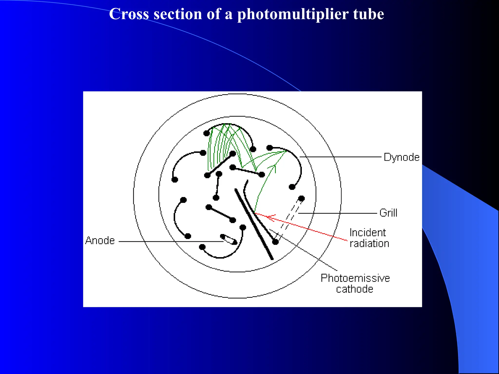 Cross section of a photomultiplier tube
 