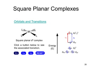 Square Planar Complexes
Orbitals and Transitions
28
 