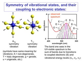 Symmetry of vibrational states, and their
coupling to electronic states:
T1u
symmetry
vibration
A1g
symmetry
vibration
(symbols have same meaning for
vibrations: A = non-degenerate,
T = triply degenerate, g = gerade,
u = ungerade, etc.)
The band one sees in the
UV-visible spectrum is the
sum of bands due to transitions
to coupled electronic (E) and
vibrational energy levels (υ1, υ2, υ3)
observed
spectrum
E E- υ1
E- υ2
E- υ3
E + υ1’
E + υ2’
E + υ3’
 