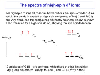 The spectra of high-spin d5 ions:
6A2g →4T2g
energy
For high-spin d5 ions all possible d-d transitions are spin-forbidden. As a
result, the bands in spectra of high-spin complexes of Mn(II) and Fe(III)
are very weak, and the compounds are nearly colorless. Below is shown
a d-d transition for a high-spin d5 ion, showing that it is spin-forbidden.
eg
eg
t2g t2g
Complexes of Gd(III) are colorless, while those of other lanthanide
M(III) ions are colored, except for La(III) and Lu(III). Why is this?
 