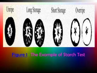Figure 1 : The Example of Starch Test

 