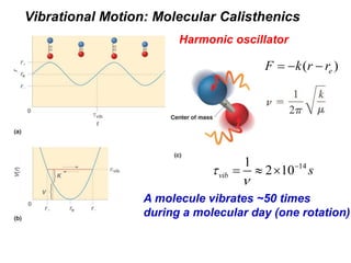 Vibrational Motion: Molecular Calisthenics
Harmonic oscillator
( )eF k r r  
141
2 10vib s
n

  
A molecule vibrates ~50 times
during a molecular day (one rotation)
 