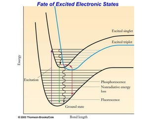 Department of Chemistry, KAIST
Fate of Excited Electronic States
 