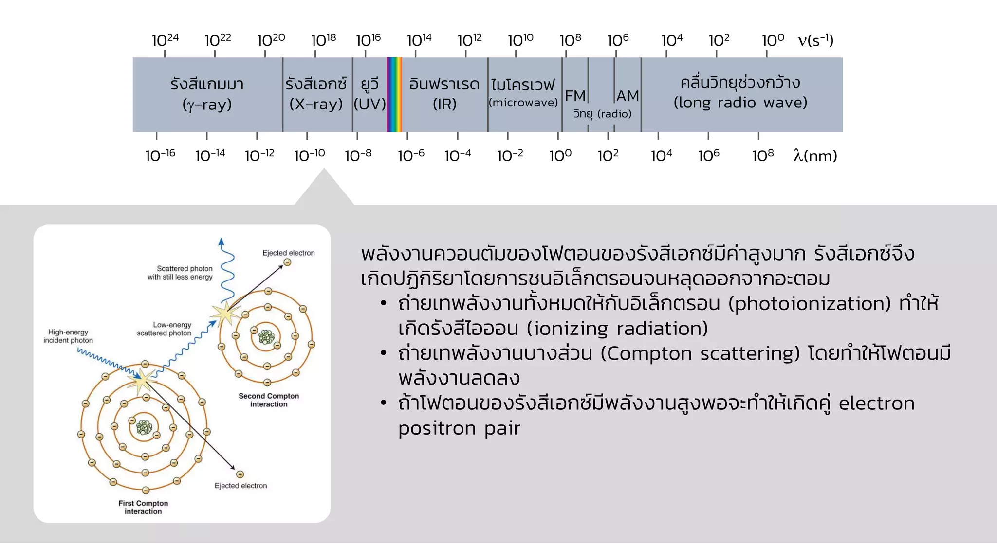 พลังงานควอนตัมของโฟตอนของรังสีเอกซ์มีค่าสูงมาก รังสีเอกซ์จึง
เกิดปฏิกิริยาโดยการชนอิเล็กตรอนจนหลุดออกจากอะตอม
• ถ่ายเทพลังงานทั้งหมดให้กับอิเล็กตรอน (photoionization) ทาให้
เกิดรังสีไอออน (ionizing radiation)
• ถ่ายเทพลังงานบางส่วน (Compton scattering) โดยทาให้โฟตอนมี
พลังงานลดลง
• ถ้าโฟตอนของรังสีเอกซ์มีพลังงานสูงพอจะทาให้เกิดคู่ electron
positron pair
10-16 10-14 10-12 10-10 10-8 10-6 10-4 10-2 100 102 104 106 108 (nm)
1024 1022 1020 1018 1016 1014 1012 1010 108 106 104 102 100 (s-1)
รังสีแกมมา
(-ray)
รังสีเอกซ์
(X-ray)
ยูวี
(UV)
อินฟราเรด
(IR)
ไมโครเวฟ
(microwave)
คลื่นวิทยุช่วงกว้าง
(long radio wave)
วิทยุ (radio)
FM AM
 
