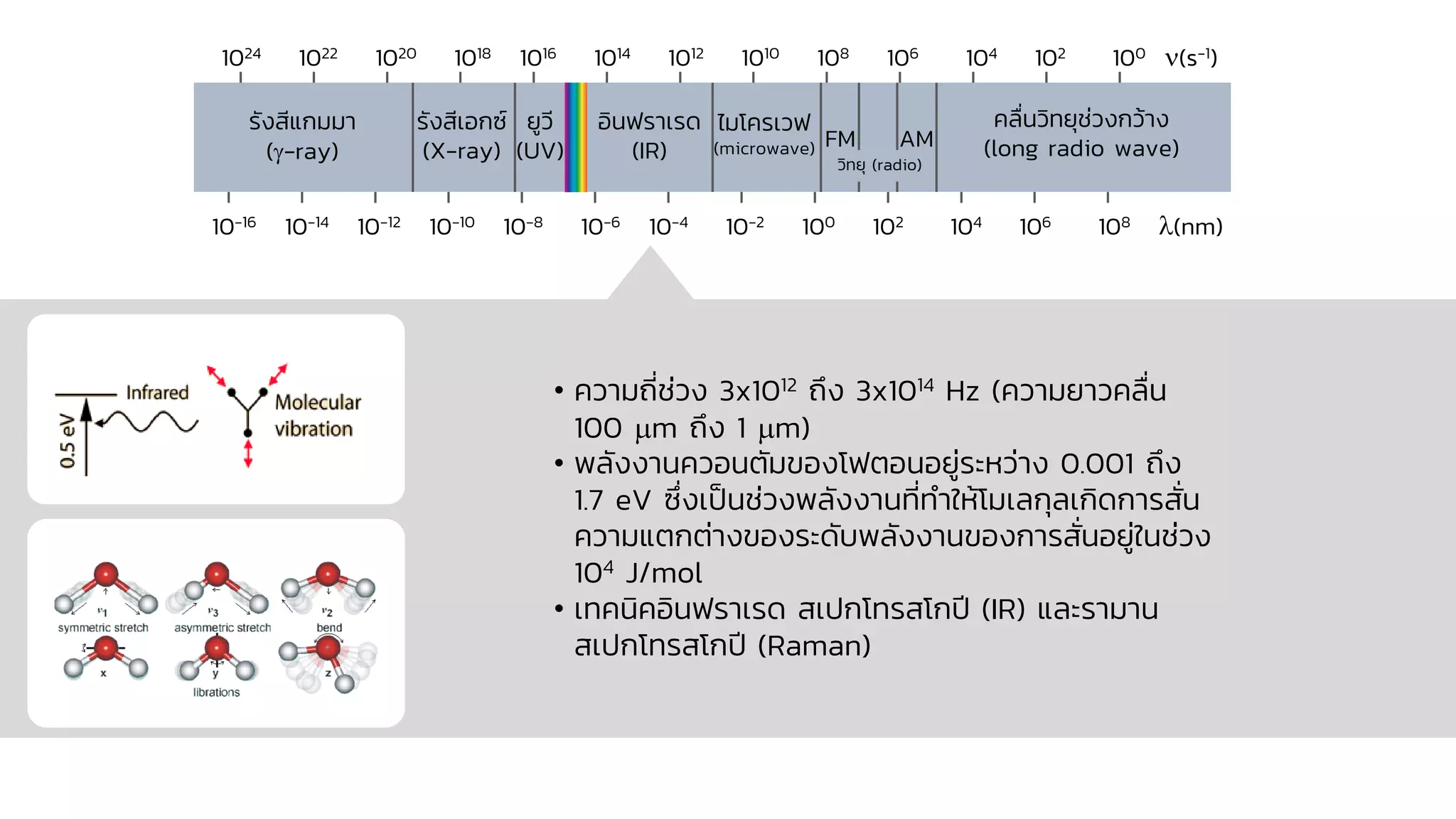 • ความถี่ช่วง 3x1012 ถึง 3x1014 Hz (ความยาวคลื่น
100 m ถึง 1 m)
• พลังงานควอนตัมของโฟตอนอยู่ระหว่าง 0.001 ถึง
1.7 eV ซึ่งเป็นช่วงพลังงานที่ทาให้โมเลกุลเกิดการสั่น
ความแตกต่างของระดับพลังงานของการสั่นอยู่ในช่วง
104 J/mol
• เทคนิคอินฟราเรด สเปกโทรสโกปี (IR) และรามาน
สเปกโทรสโกปี (Raman)
10-16 10-14 10-12 10-10 10-8 10-6 10-4 10-2 100 102 104 106 108 (nm)
1024 1022 1020 1018 1016 1014 1012 1010 108 106 104 102 100 (s-1)
รังสีแกมมา
(-ray)
รังสีเอกซ์
(X-ray)
ยูวี
(UV)
อินฟราเรด
(IR)
ไมโครเวฟ
(microwave)
คลื่นวิทยุช่วงกว้าง
(long radio wave)
วิทยุ (radio)
FM AM
 