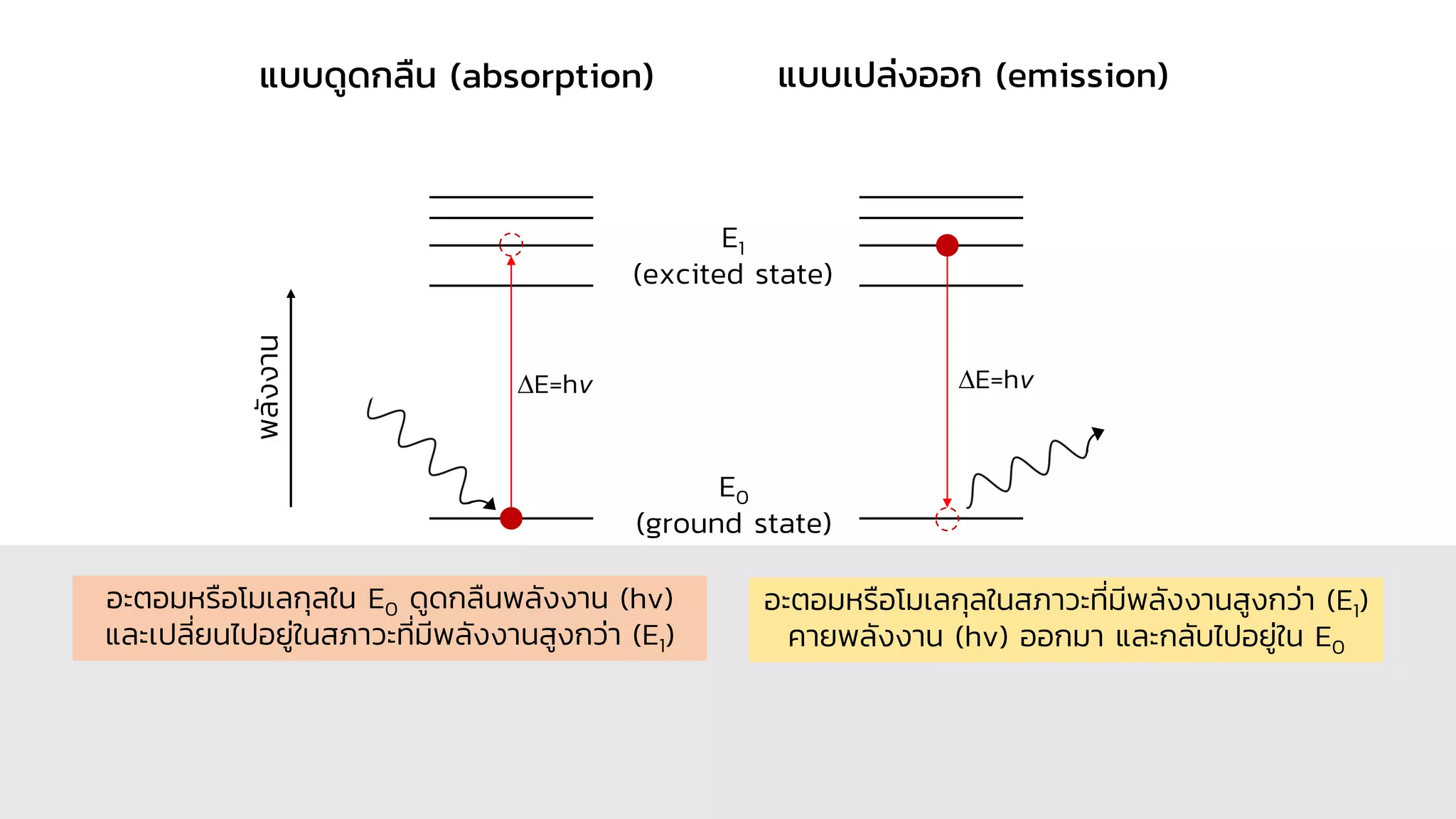 E0
(ground state)
E1
(excited state)
E=hv E=hv
แบบดูดกลืน (absorption) แบบเปล่งออก (emission)
พลั
ง
งาน
อะตอมหรือโมเลกุลใน E0 ดูดกลืนพลังงาน (hv)
และเปลี่ยนไปอยู่ในสภาวะที่มีพลังงานสูงกว่า (E1)
อะตอมหรือโมเลกุลในสภาวะที่มีพลังงานสูงกว่า (E1)
คายพลังงาน (hv) ออกมา และกลับไปอยู่ใน E0
 