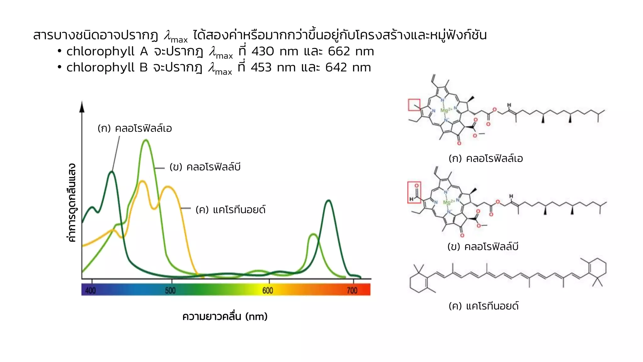 ค่
า
การดู
ด
กลื
น
แสง
(ก) คลอโรฟิลล์เอ
(ข) คลอโรฟิลล์บี
(ค) แคโรทีนอยด์
(ก) คลอโรฟิลล์เอ
(ข) คลอโรฟิลล์บี
(ค) แคโรทีนอยด์
ความยาวคลื่น (nm)
สารบางชนิดอาจปรากฏ max ได้สองค่าหรือมากกว่าขึ้นอยู่กับโครงสร้างและหมู่ฟังก์ชัน
• chlorophyll A จะปรากฎ max ที่ 430 nm และ 662 nm
• chlorophyll B จะปรากฎ max ที่ 453 nm และ 642 nm
 