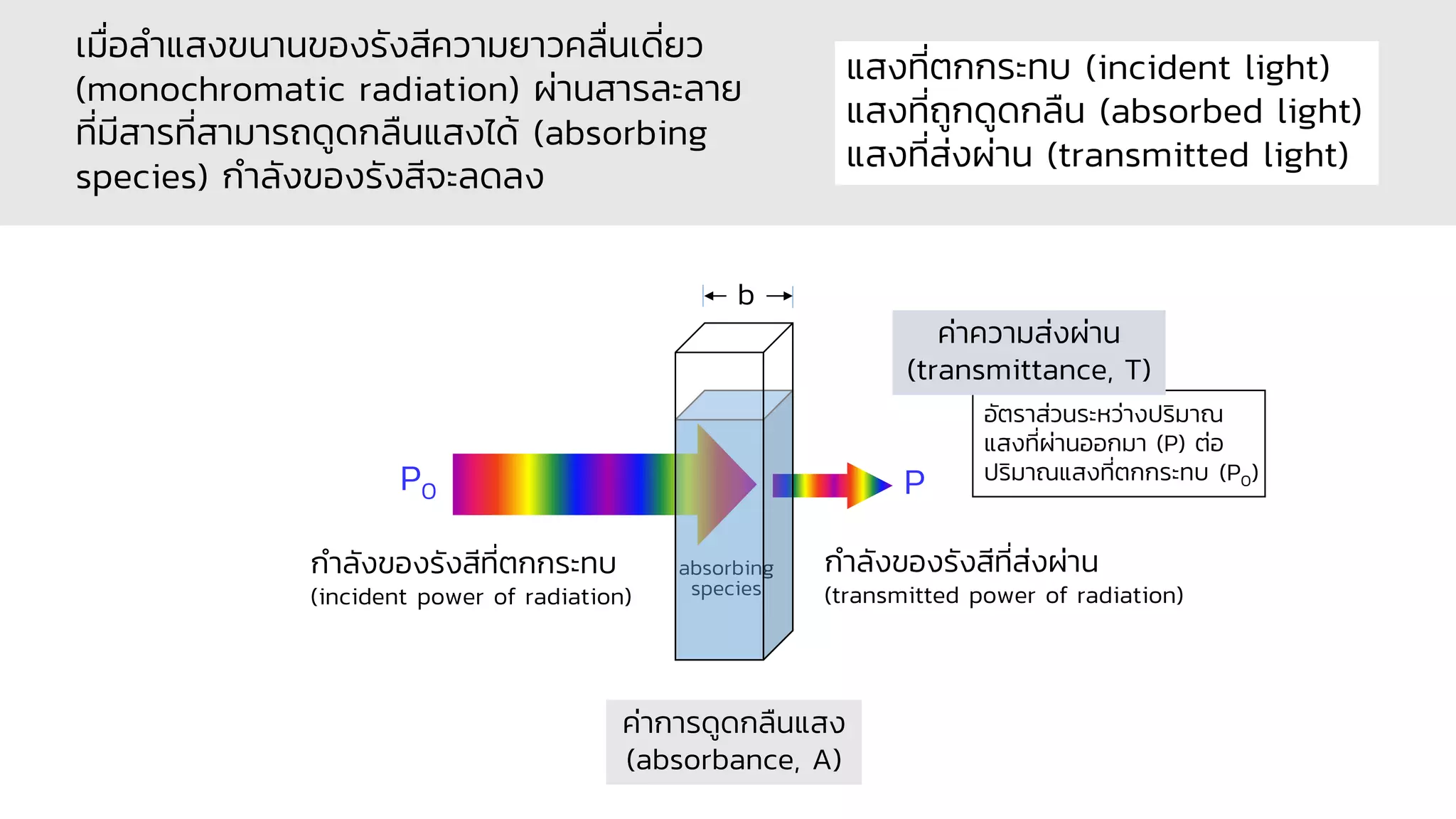 P0 P
absorbing
species
b
กาลังของรังสีที่ตกกระทบ
(incident power of radiation)
กาลังของรังสีที่ส่งผ่าน
(transmitted power of radiation)
เมื่อลาแสงขนานของรังสีความยาวคลื่นเดี่ยว
(monochromatic radiation) ผ่านสารละลาย
ที่มีสารที่สามารถดูดกลืนแสงได้ (absorbing
species) กาลังของรังสีจะลดลง
แสงที่ตกกระทบ (incident light)
แสงที่ถูกดูดกลืน (absorbed light)
แสงที่ส่งผ่าน (transmitted light)
ค่าการดูดกลืนแสง
(absorbance, A)
ค่าความส่งผ่าน
(transmittance, T)
อัตราส่วนระหว่างปริมาณ
แสงที่ผ่านออกมา (P) ต่อ
ปริมาณแสงที่ตกกระทบ (P0)
 