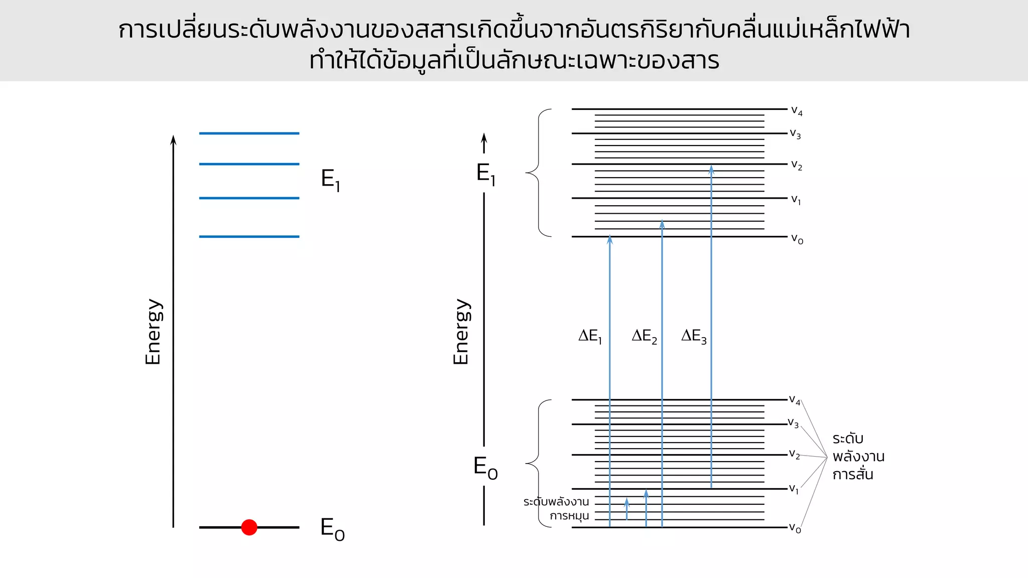 E1
E0
Energy
การเปลี่ยนระดับพลังงานของสสารเกิดขึ้นจากอันตรกิริยากับคลื่นแม่เหล็กไฟฟ้า
ทาให้ได้ข้อมูลที่เป็นลักษณะเฉพาะของสาร
E0
E1
Energy
E1 E2 E3
ระดับ
พลังงาน
การสั่น
ระดับพลังงาน
การหมุน
v0
v1
v2
v3
v4
v0
v1
v2
v3
v4
 