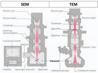 SEM TEM
Vacuum
 
