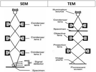SEM TEM
 