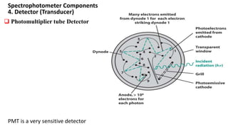 PMT is a very sensitive detector
Spectrophotometer Components
4. Detector (Transducer)
 Photomultiplier tube Detector
 