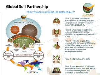 Global Soil Partnership
http://www.fao.org/global-soil-partnership/en/
 