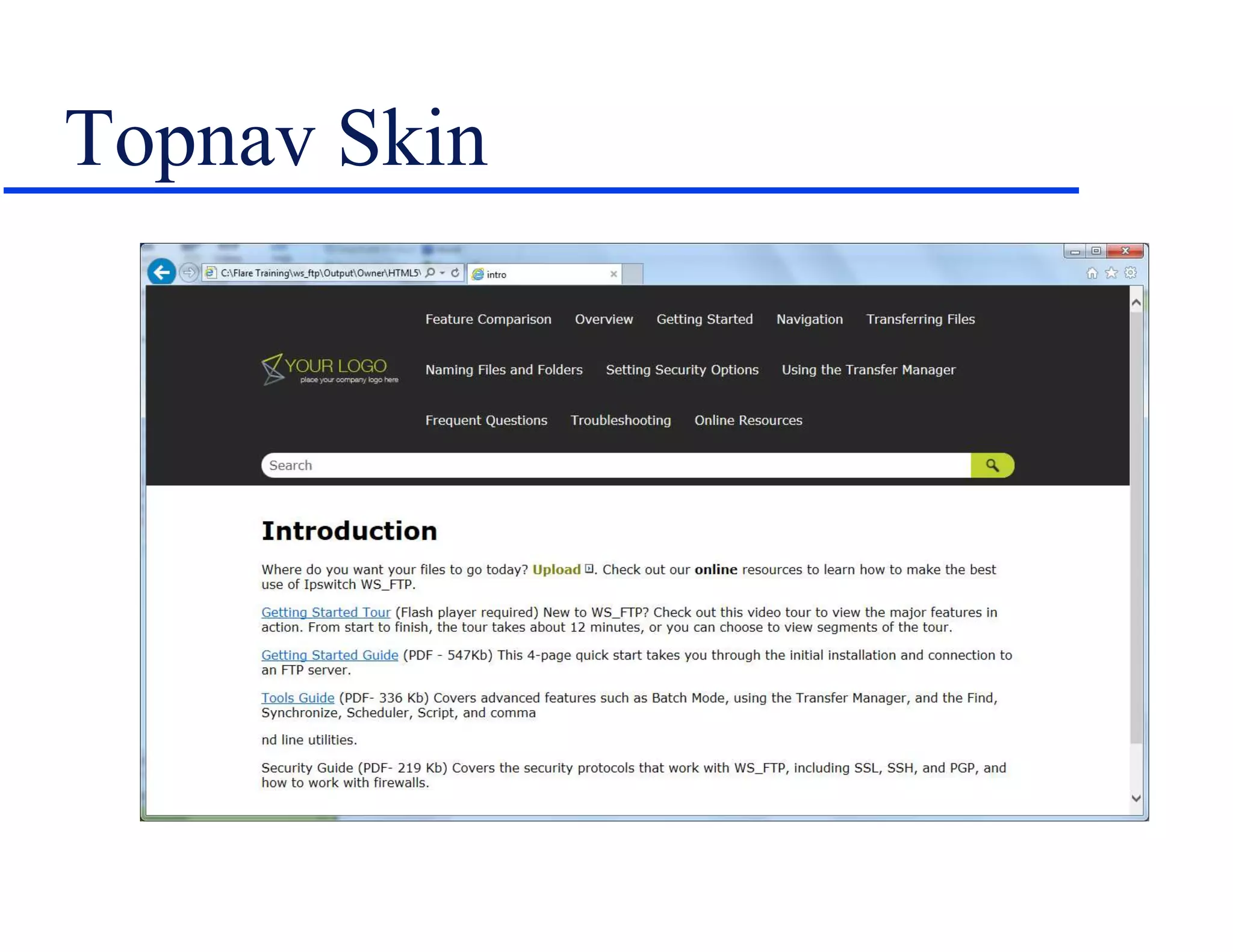 Topnav Skin
 