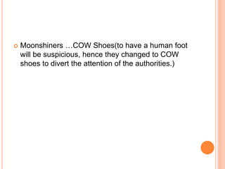  Moonshiners …COW Shoes(to have a human foot
will be suspicious, hence they changed to COW
shoes to divert the attention of the authorities.)
 