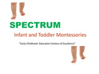 SPECTRUM
Infant and Toddler Montessories
  “Early Childhood Education Centers of Excellence”
 
