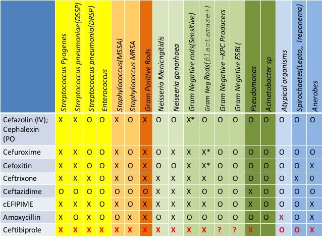 Antimicrobial Spectrum Of Activity Chart