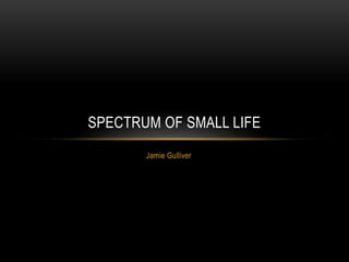 SPECTRUM OF SMALL LIFE 
Jamie Gulliver 
 