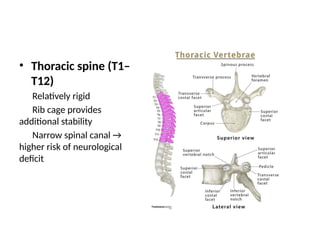 T12 Short Rib Spectrum_of_Spine_Surgery_Devdaha_Medical_College-1.pptx