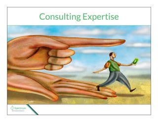 Consulting Expertise
 