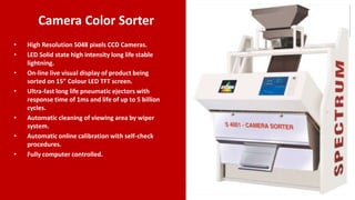 Color Sorter Presentation | PPTX