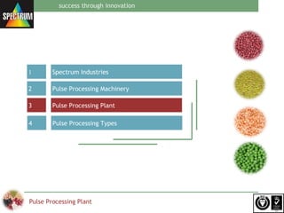 Spectrum pulse processing plant | PPT