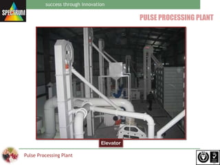 Spectrum pulse processing plant | PPT