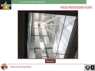 Spectrum pulse processing plant | PPT