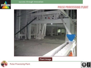 Spectrum pulse processing plant | PPT
