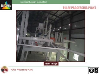 Spectrum pulse processing plant | PPT