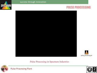 Spectrum pulse processing plant | PPT