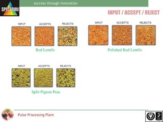 Spectrum pulse processing plant | PPT