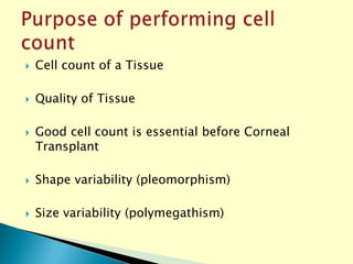 Normal Cell Count Eye Eye Bank Specular Microscopy | PPTX