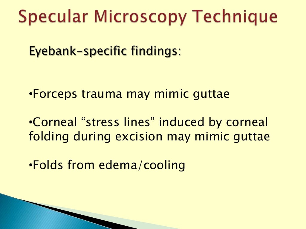 Eye Bank Specular Microscopy
