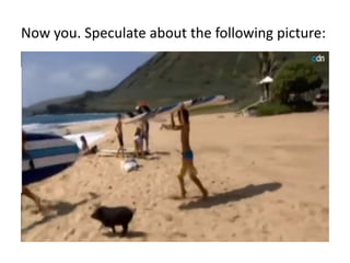 Now you. Speculate about the following picture: 
 