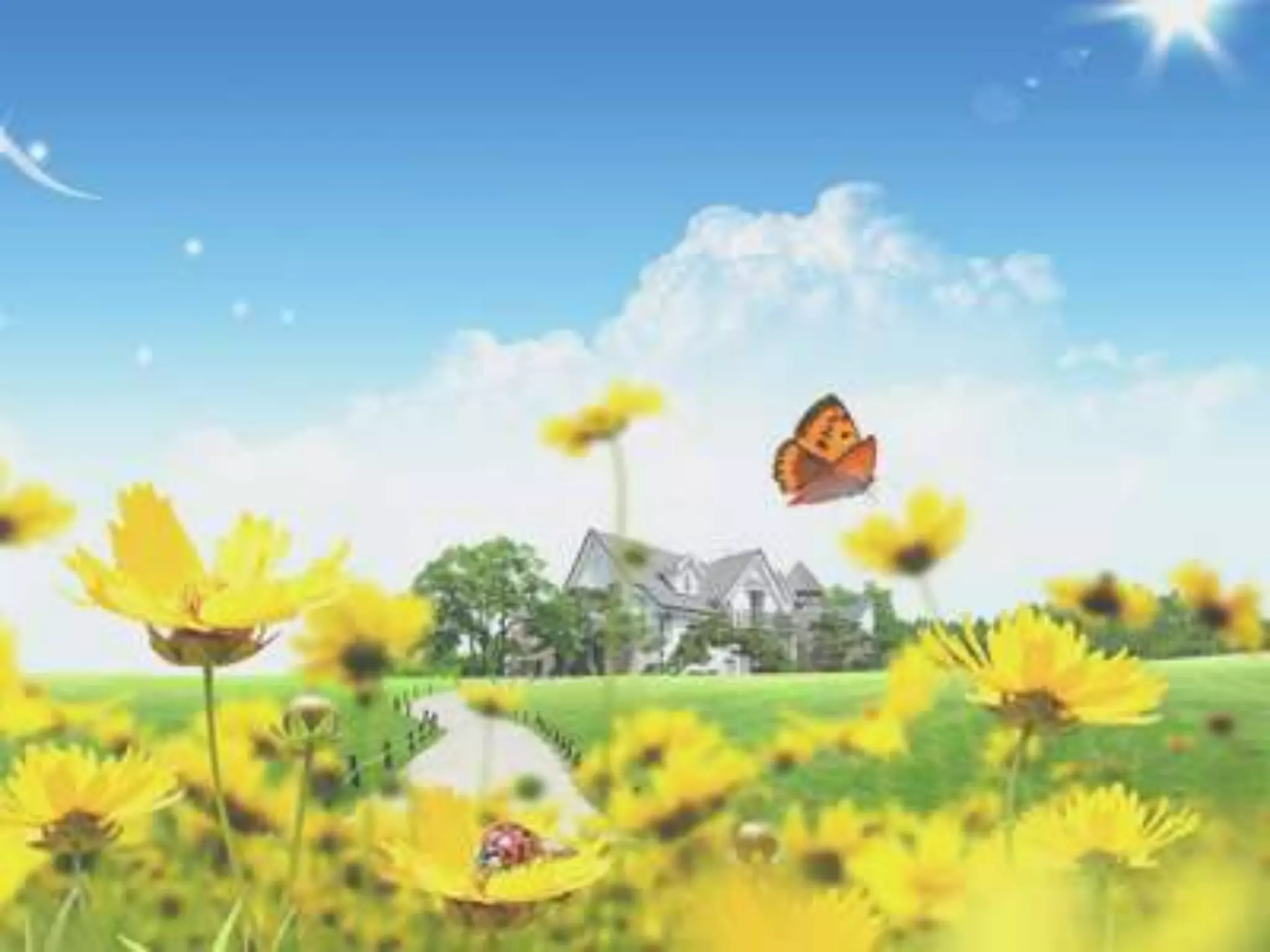 Sped in usa  ppt gpb