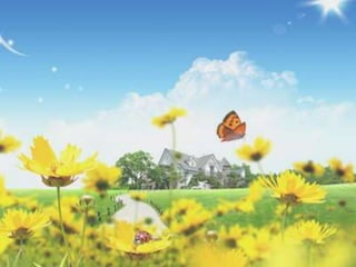 Sped in usa  ppt gpb