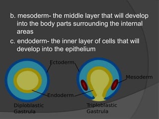 The Biological and environmental causes of Developmental Disabilities ...