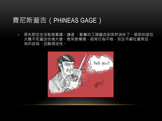 費尼斯蓋吉（PHINEAS GAGE）
• 原先那位生活態度嚴講、謙虛 、勤奮的工頭蓋吉卻突然消失了。眼前的這位
大難不死蓋吉性情大變，愈來愈懶惰，經常行為不檢，完全不顧社會禁忌，
為所欲為，且酗酒成性。
 