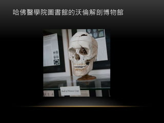 哈佛醫學院圖書館的沃倫解剖博物館
 