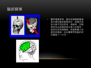 • 醫界慢慢發現，蓋吉受損最嚴重處
是所謂的腦部額葉部位，因腦內各
部分掌不同的思考、情緒等，而額
葉則從此就確認是主管人的個性。
這部位受到損傷後，就會影響人的
個性與情緒。從此醫學界對腦的研
究躍進了一大步。
腦部額葉
 
