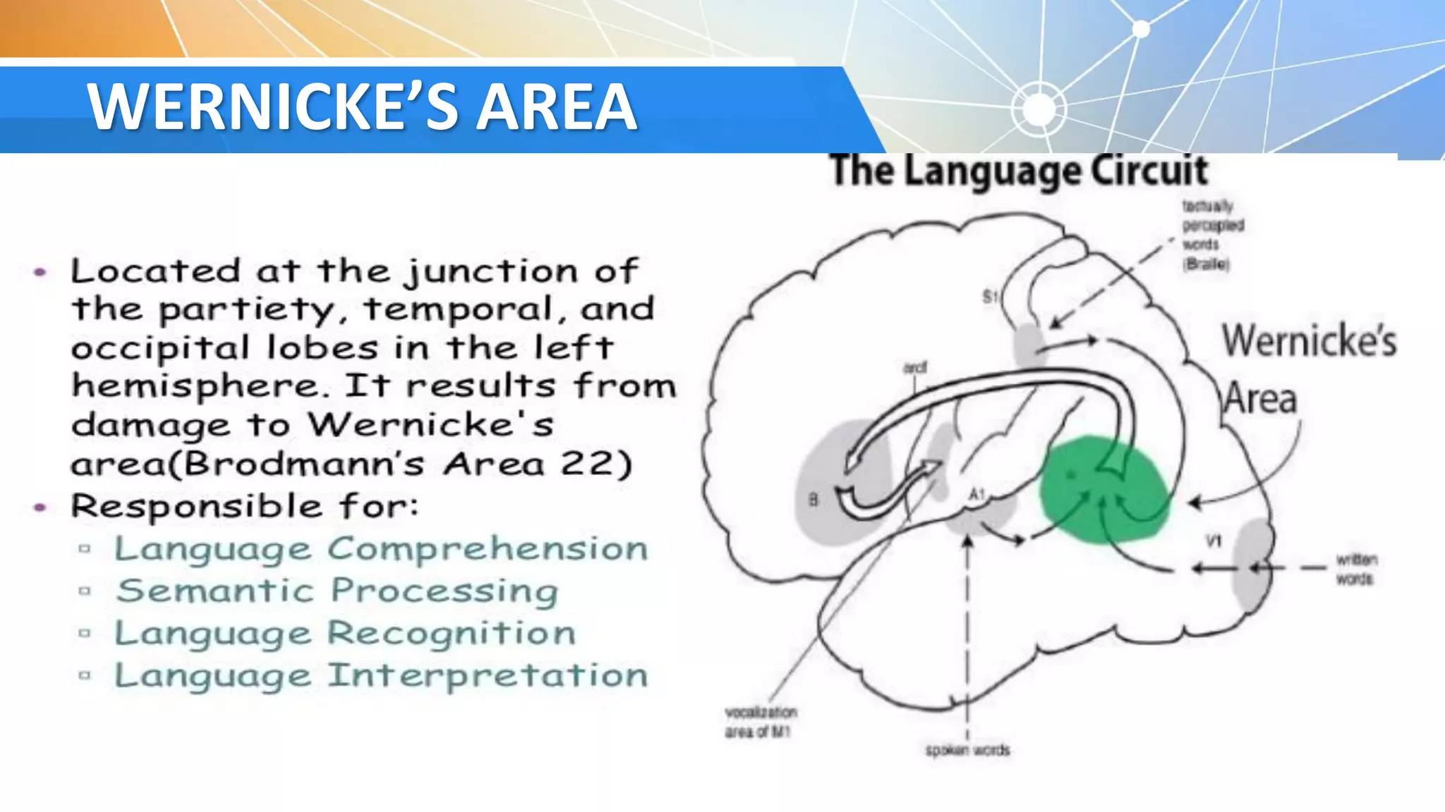 Speech therapy | PDF