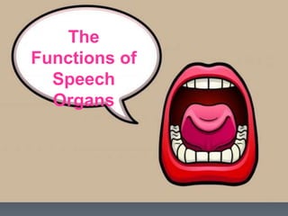 The
Functions of
Speech
Organs
 