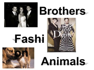 Brothers Fashion Animals 