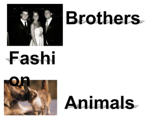 Brothers Fashion Animals 
