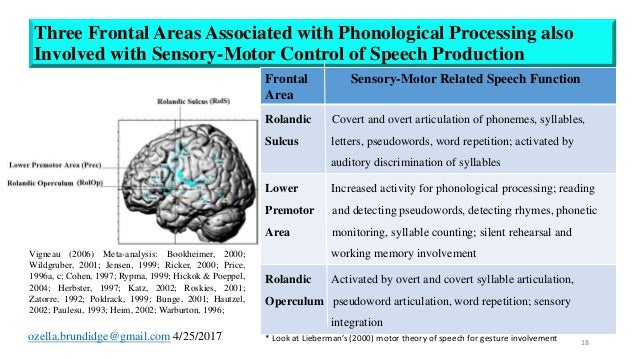 Speech and language phonological processing