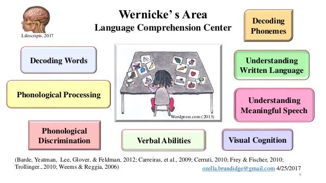 Speech and language phonological processing
