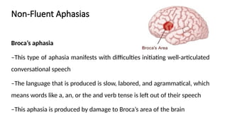 Speech and Language disorders anatomy and localization .pptx
