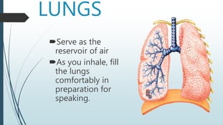 LUNGS
Serve as the
reservoir of air
As you inhale, fill
the lungs
comfortably in
preparation for
speaking.
 