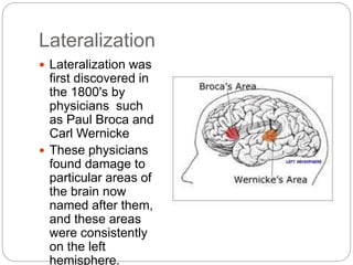 Lateralization
 Lateralization was
first discovered in
the 1800's by
physicians such
as Paul Broca and
Carl Wernicke
 These physicians
found damage to
particular areas of
the brain now
named after them,
and these areas
were consistently
on the left
hemisphere.
 